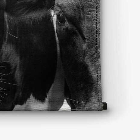 Close-up foto van Hollandse koe in zwart-wit