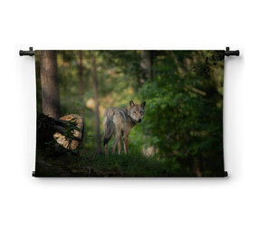 Wolf blikt achterom