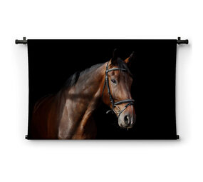 Bruin paardenportret op zwarte achtergrond