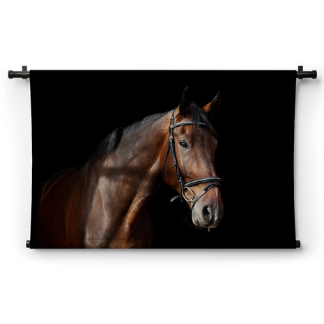 Bruin paardenportret op zwarte achtergrond