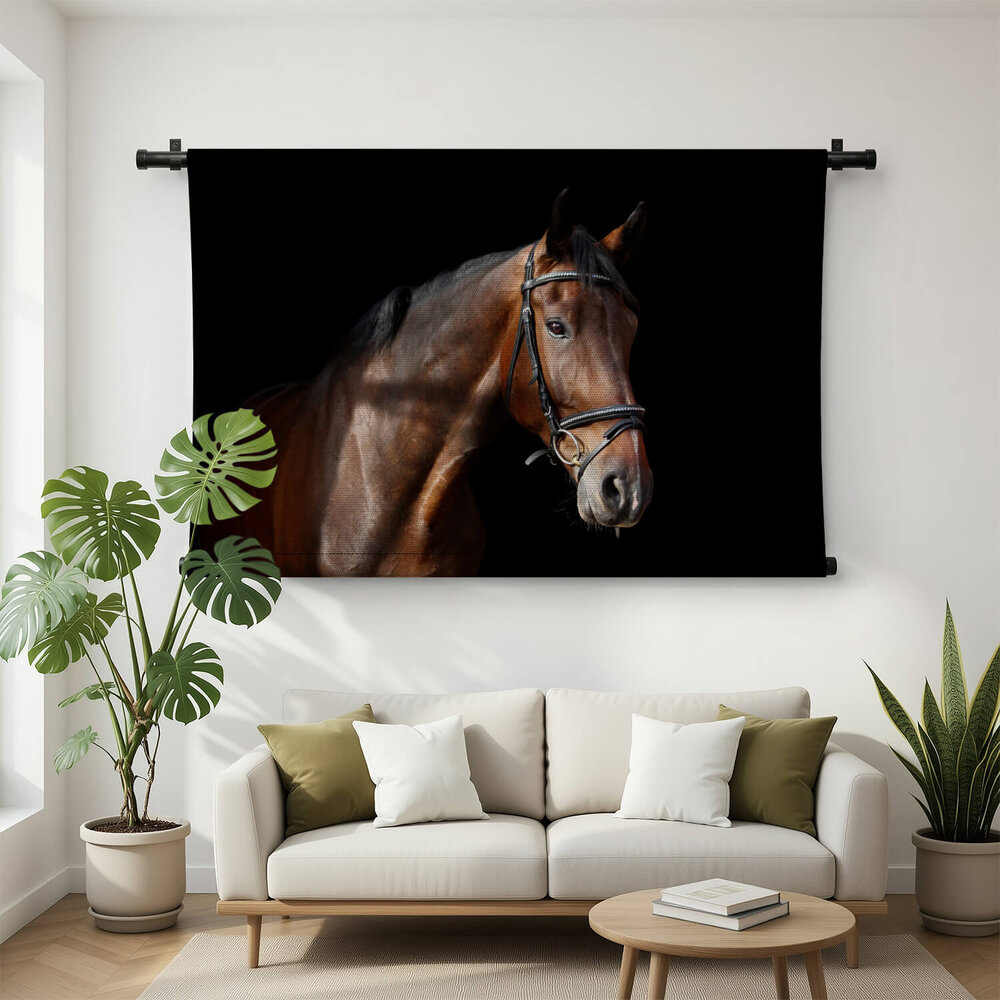 Bruin paardenportret op zwarte achtergrond