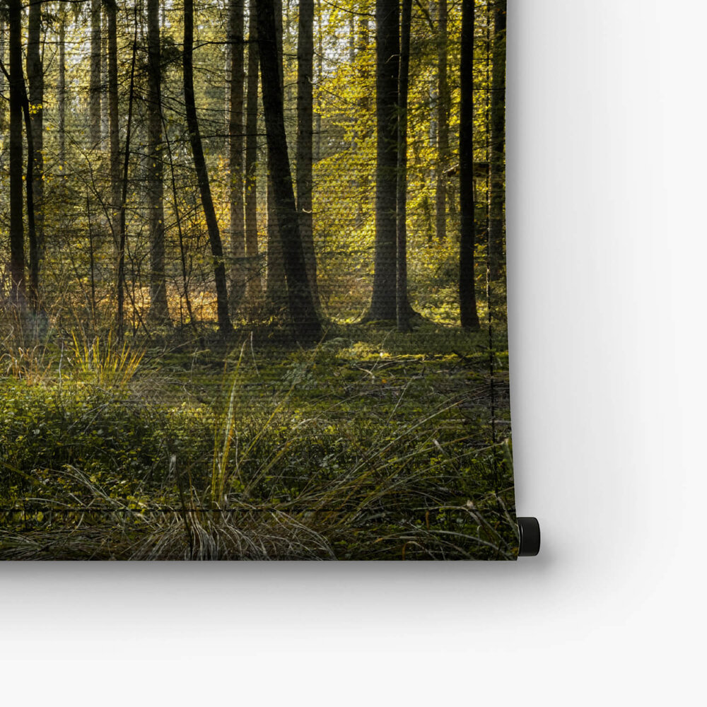 Reeën grazen in het prachtige bos