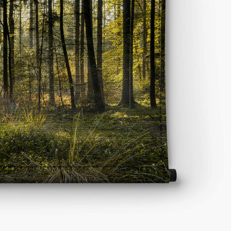 Reeën grazen in het prachtige bos