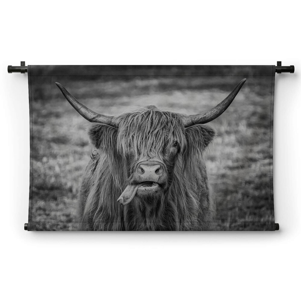 Zwart-wit beeld van Schotse hooglander