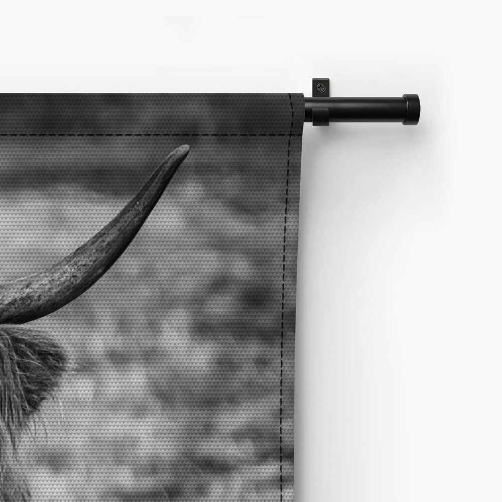 Zwart-wit beeld van Schotse hooglander