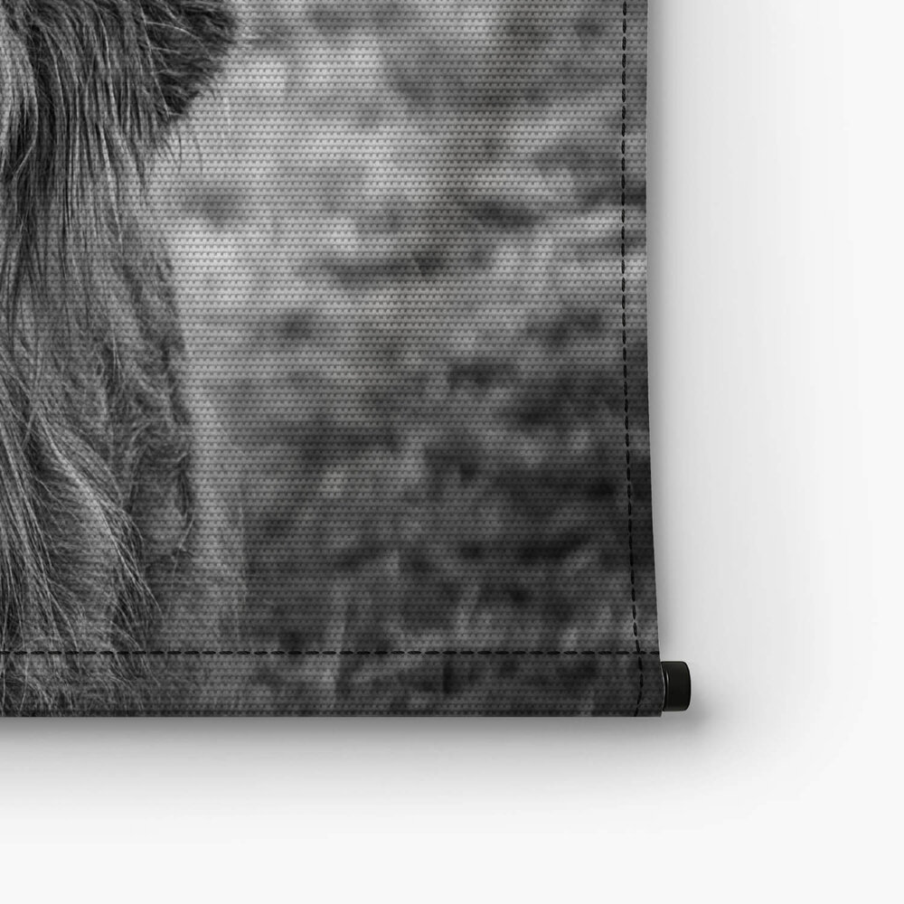 Zwart-wit beeld van Schotse hooglander