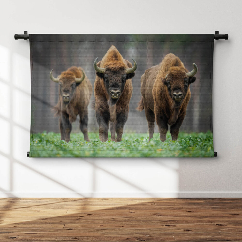 Drie bizons in het bos