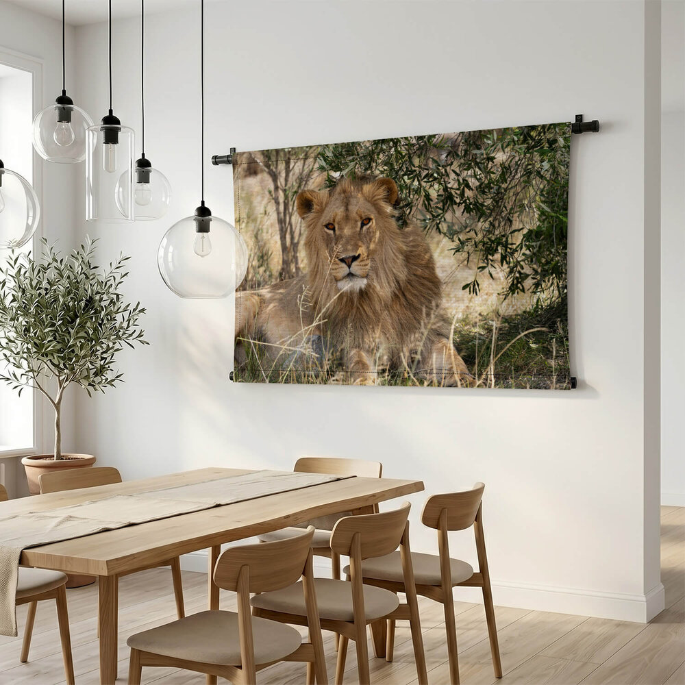 Majestueuze leeuw op de savanne