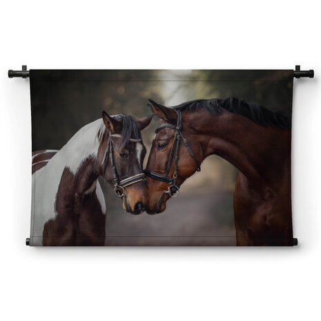 Hengst en merrie paarden in liefde