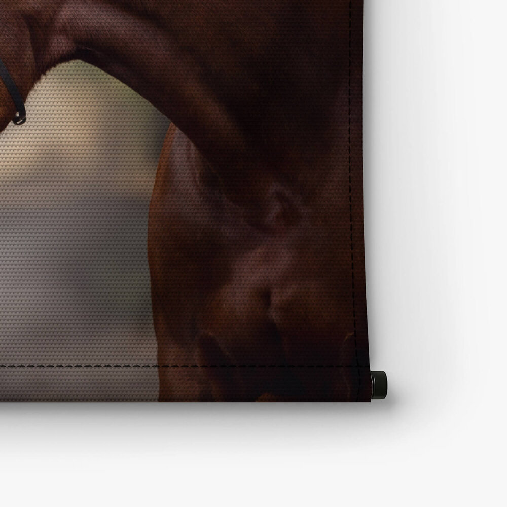 Hengst en merrie paarden in liefde