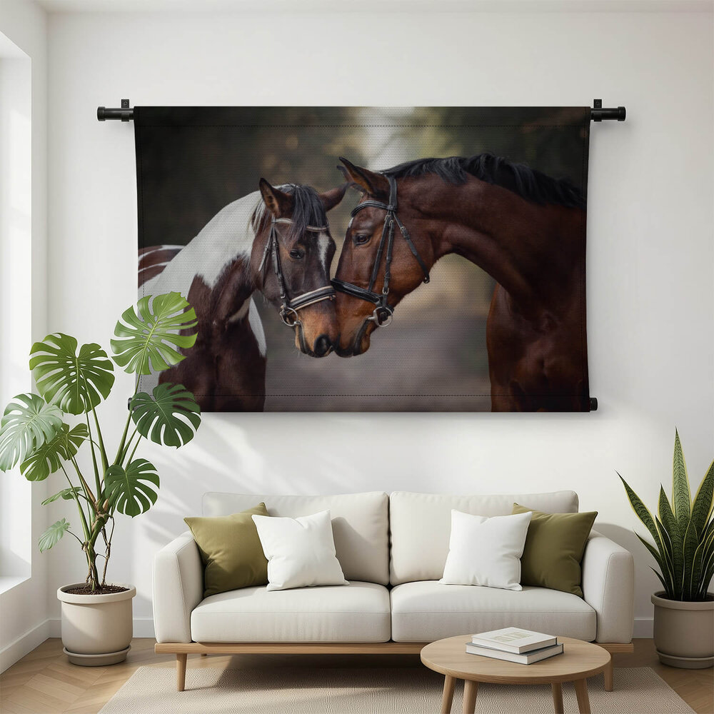 Hengst en merrie paarden in liefde