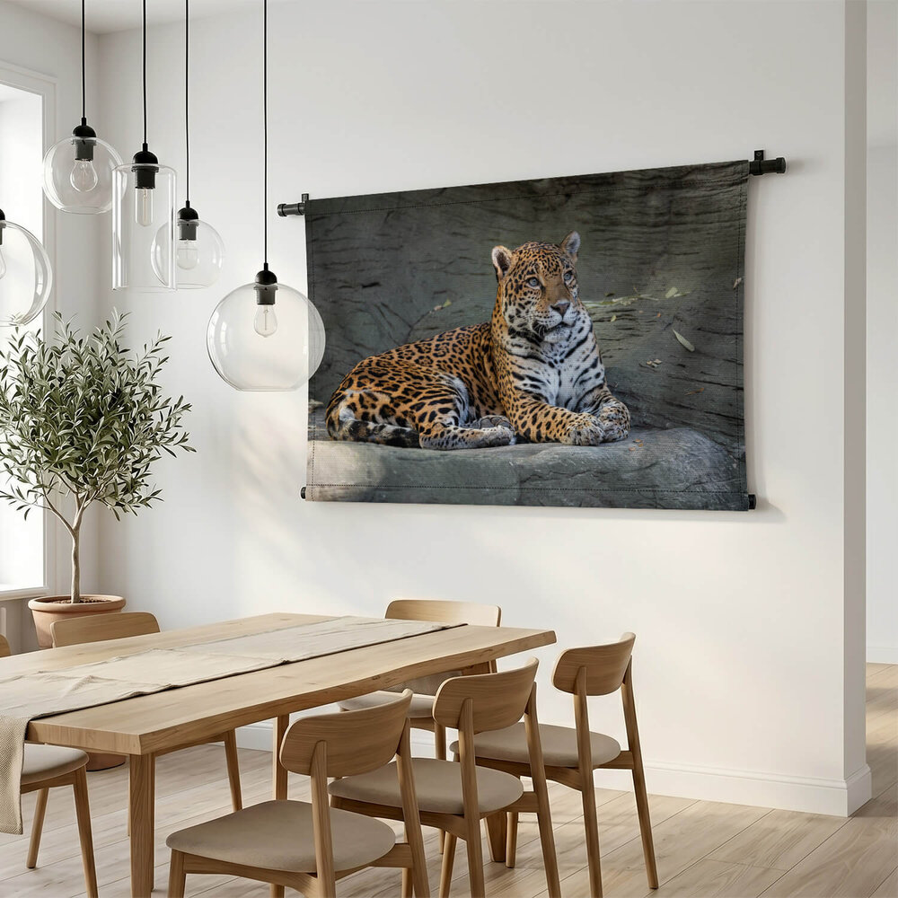 Schitterende luipaard in de schaduw