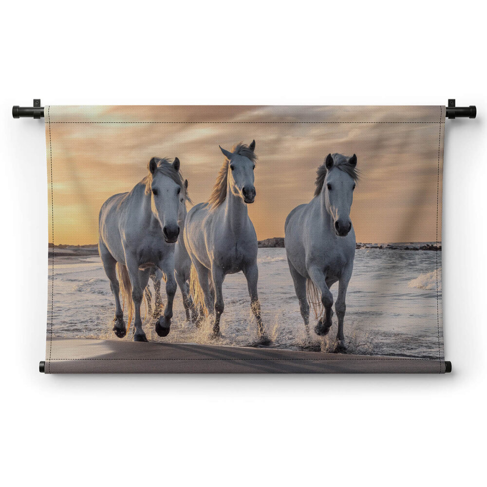 Kudde witte paarden op het strand