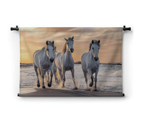 Kudde witte paarden op het strand