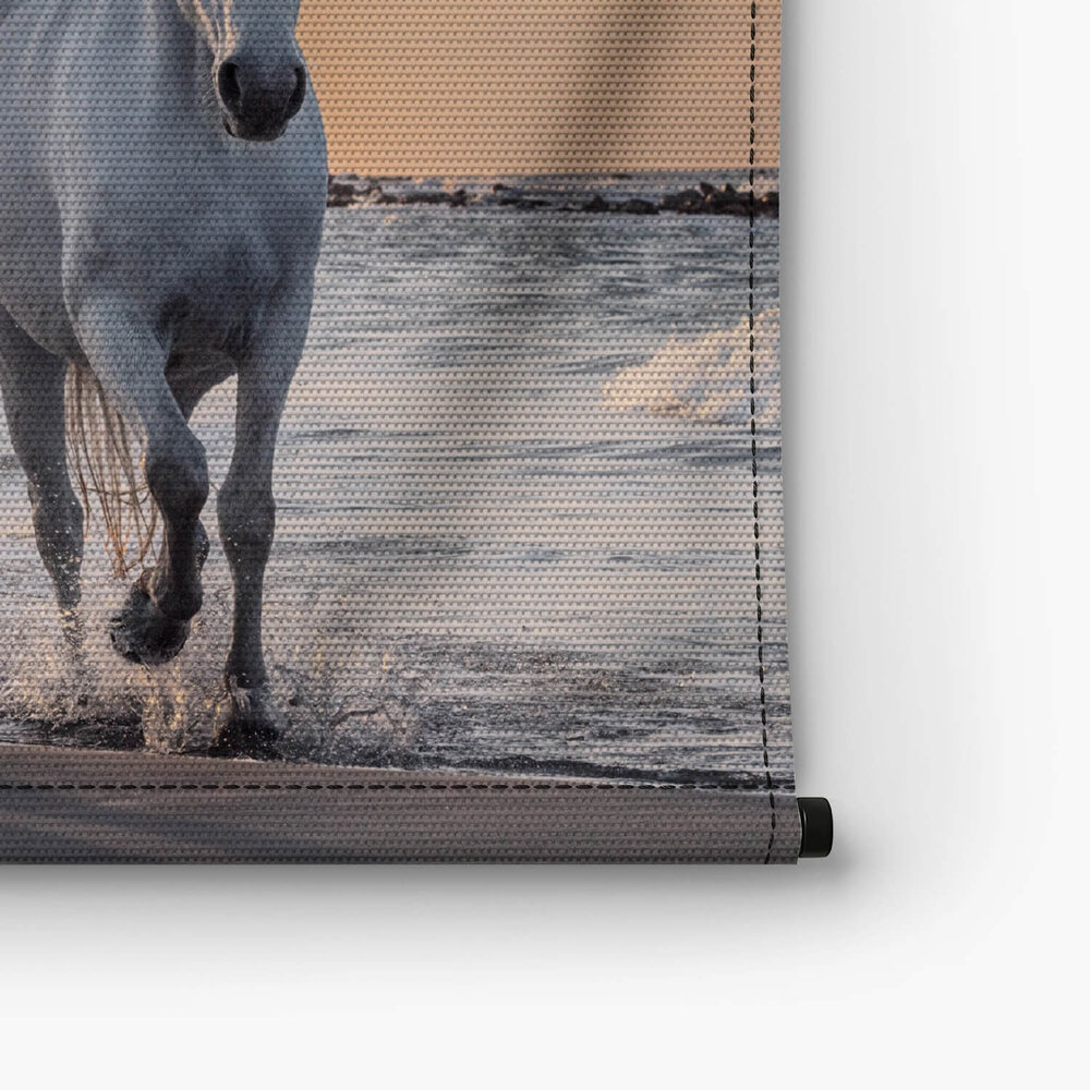Kudde witte paarden op het strand