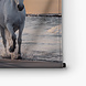 Kudde witte paarden op het strand