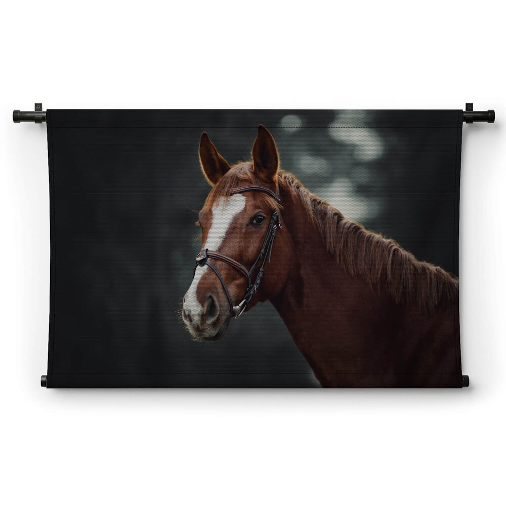 Trots paard in een donker bos