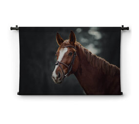 Trots paard in een donker bos