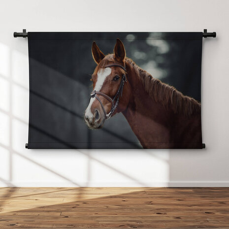 Trots paard in een donker bos