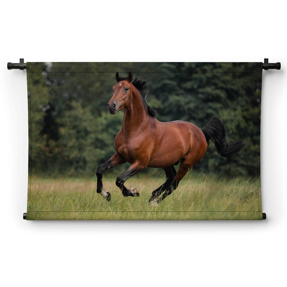 Voskleurig paard galopperend over het gras