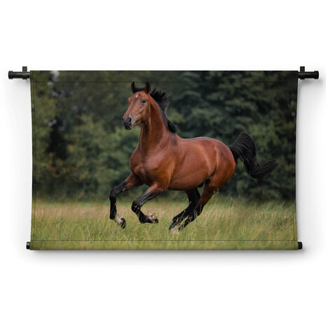 Voskleurig paard galopperend over het gras