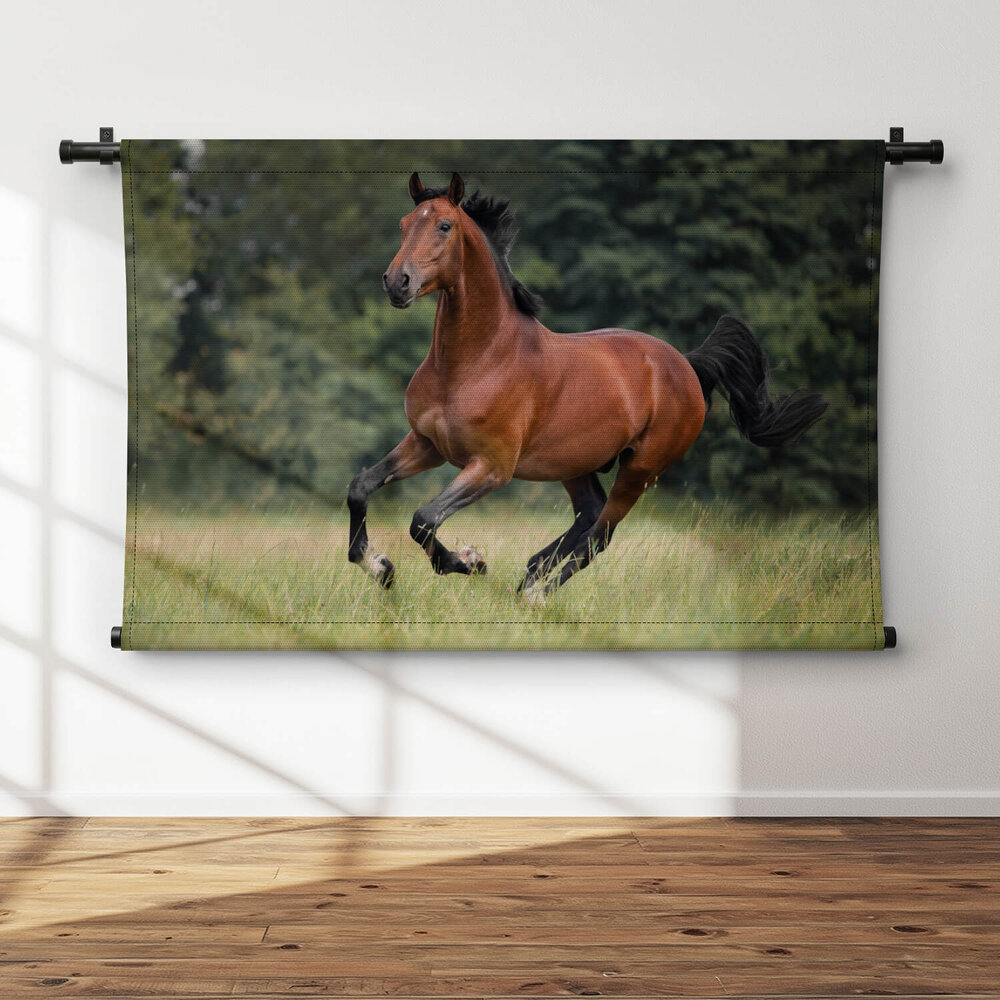 Voskleurig paard galopperend over het gras