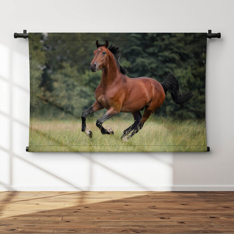Voskleurig paard galopperend over het gras