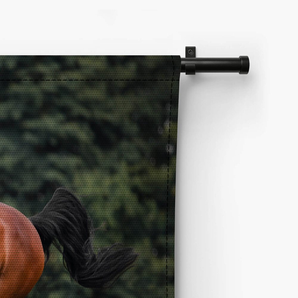 Voskleurig paard galopperend over het gras