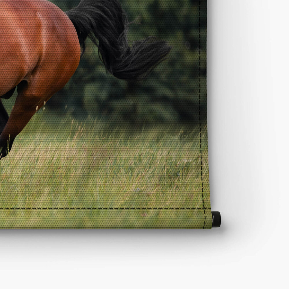 Voskleurig paard galopperend over het gras