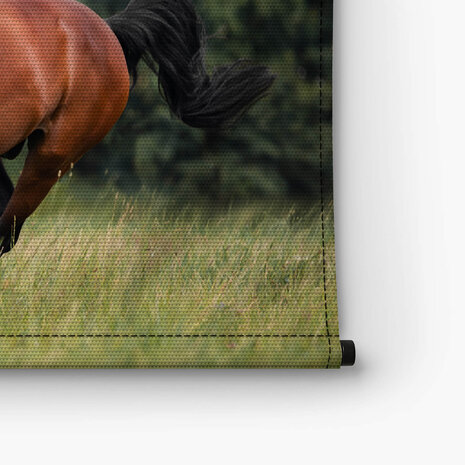 Voskleurig paard galopperend over het gras