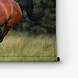 Voskleurig paard galopperend over het gras