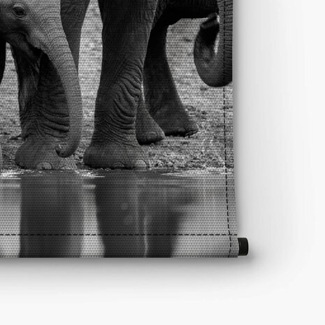 Zwart-wit beeld van kudde olifanten drinkend bij de waterpoel