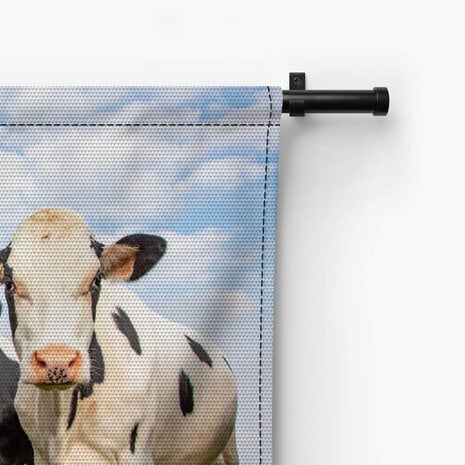 Groep koeien blij en vrolijk samen in het veld