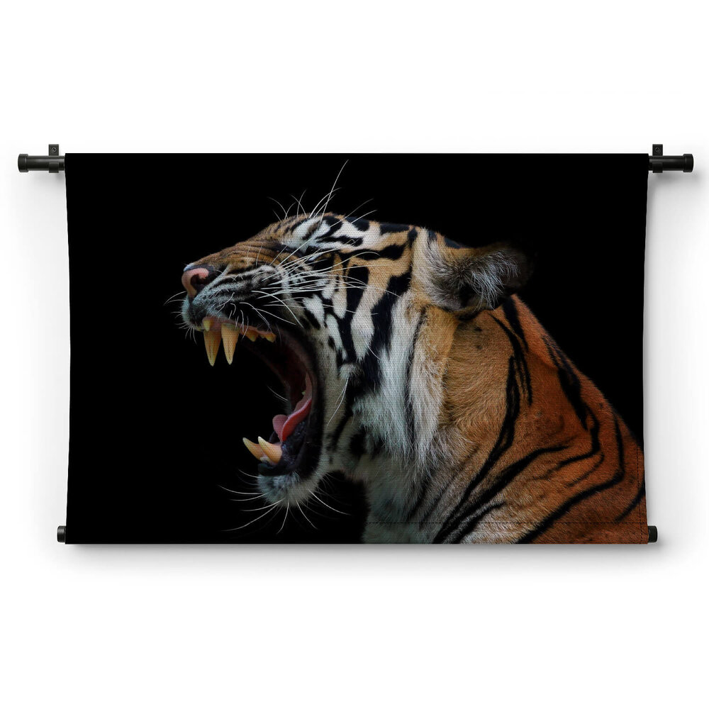 Schitterend hoofd van Sumatraanse tijger