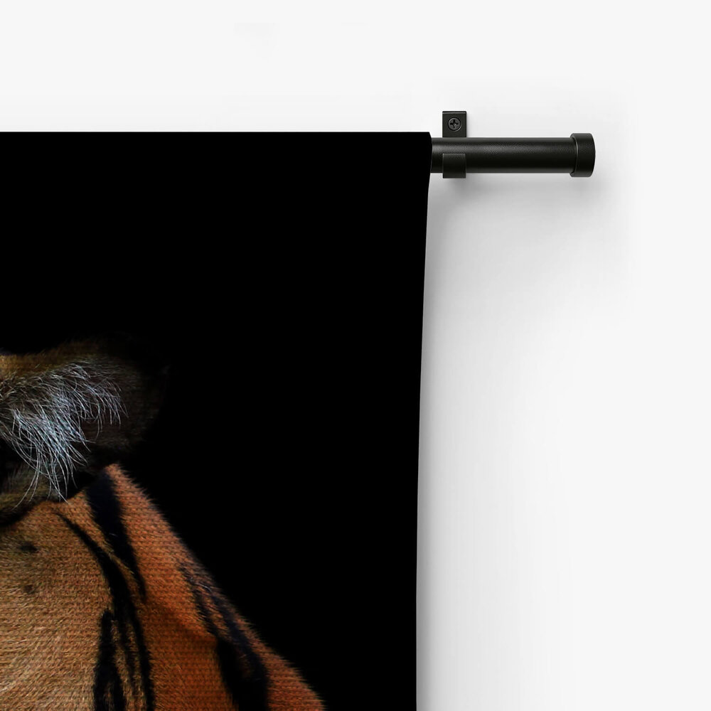 Schitterend hoofd van Sumatraanse tijger