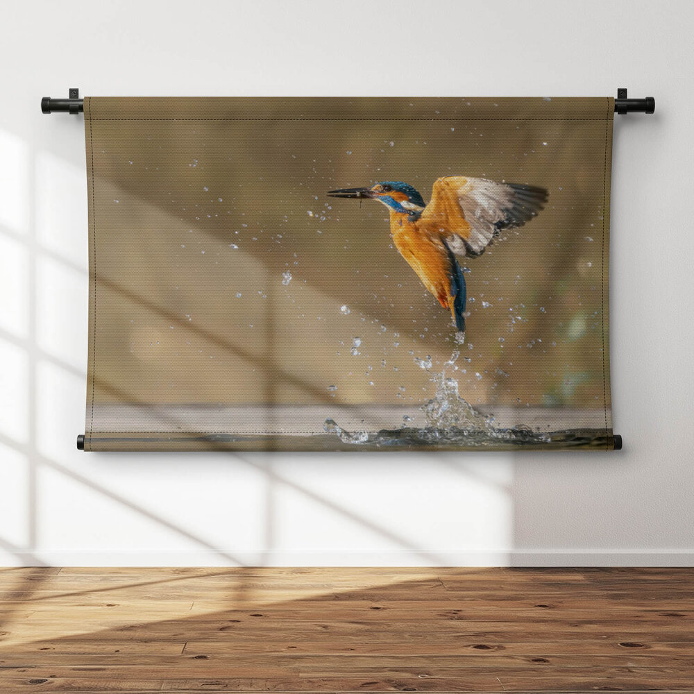 Spectaculaire ijsvogel in de vlucht