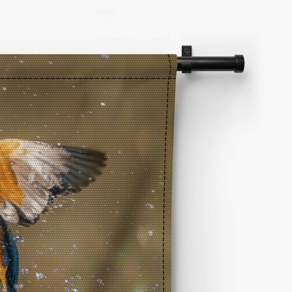 Spectaculaire ijsvogel in de vlucht