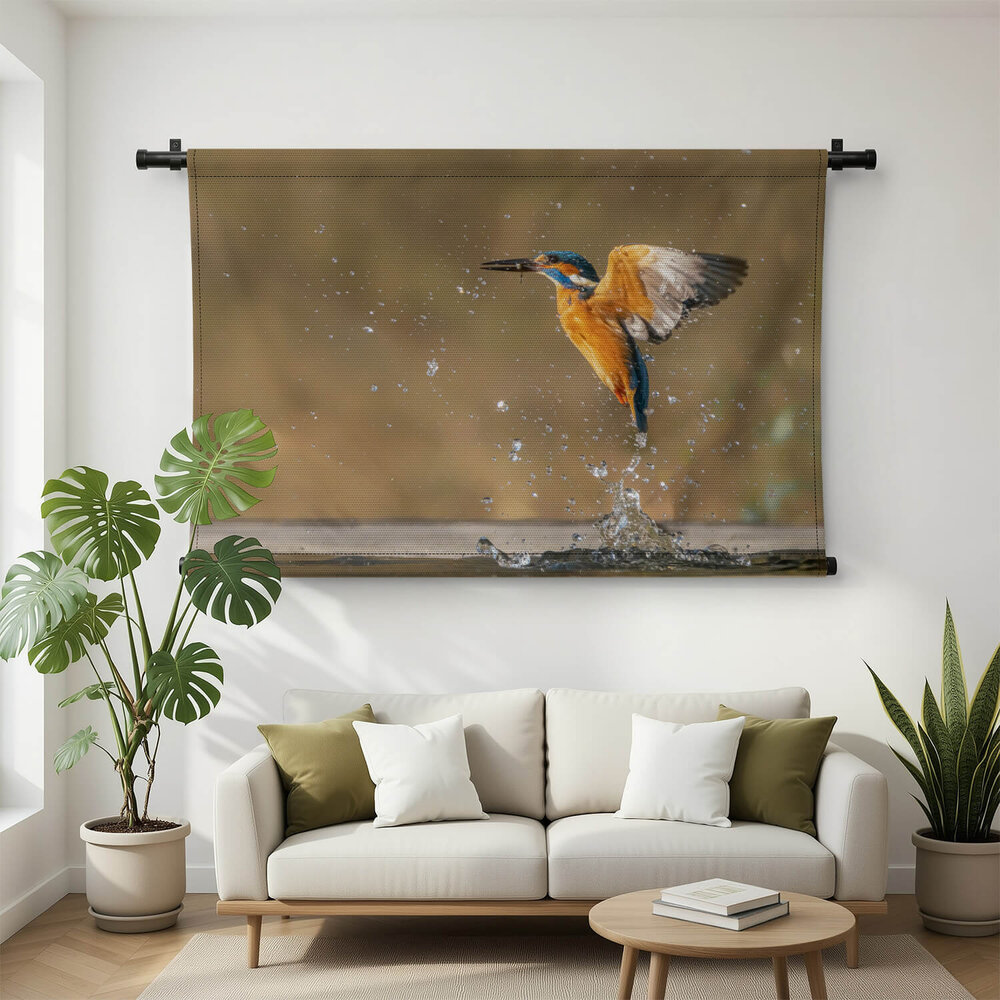 Spectaculaire ijsvogel in de vlucht