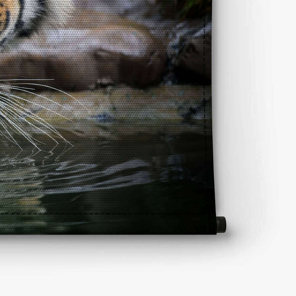 Prachtige tijger water drinkend uit een meer
