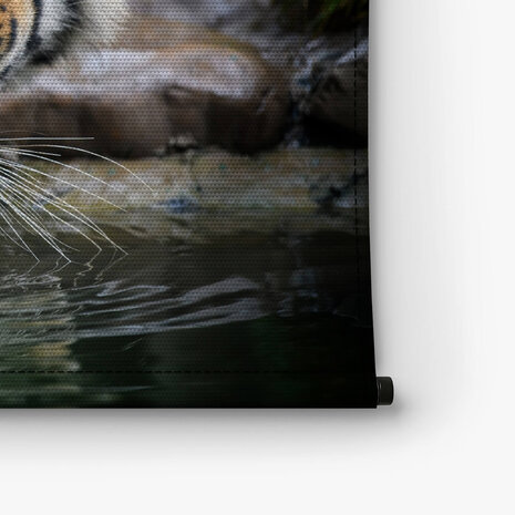Prachtige tijger water drinkend uit een meer