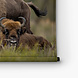 Familie bizon in het bos