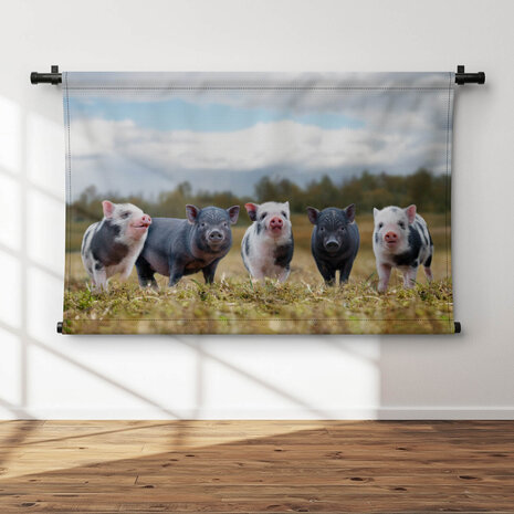 Zwarte en gevlekte varkens op een rij