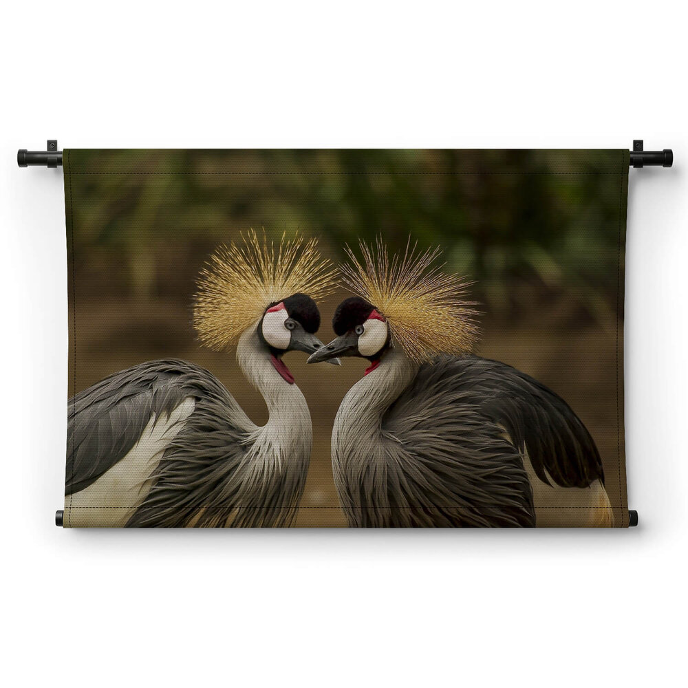 Hartstochtelijke kraanvogels bij elkaar