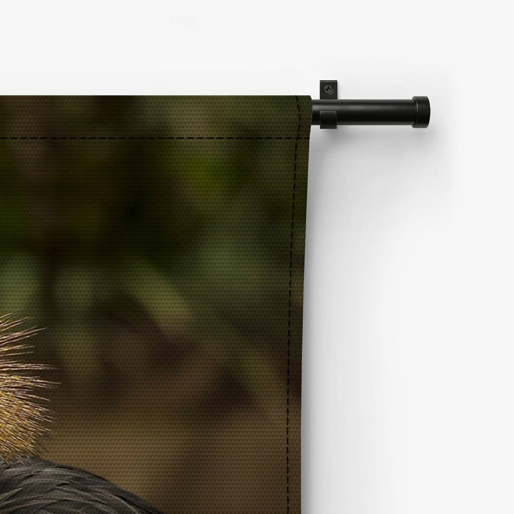 Hartstochtelijke kraanvogels bij elkaar
