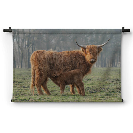 Bruine Schotse hooglander met haar jong