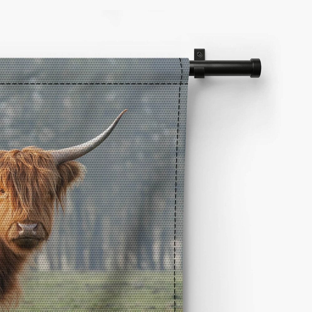 Bruine Schotse hooglander met haar jong