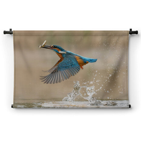 Europese ijsvogel in vlucht