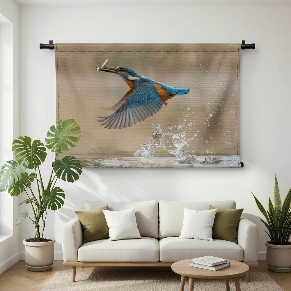 Europese ijsvogel in vlucht