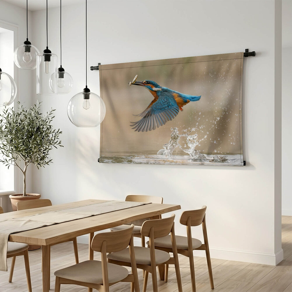 Europese ijsvogel in vlucht
