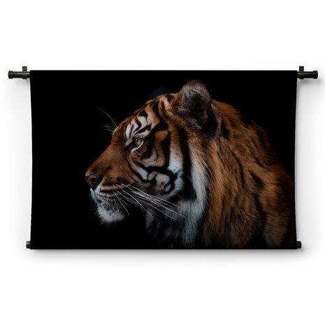 Prachtig zijaanzicht van Sumatraanse tijger